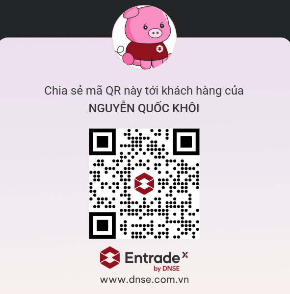 QR DNSE